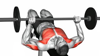 The Best Chest Workout with Barbell Only [upl. by Nivlam]