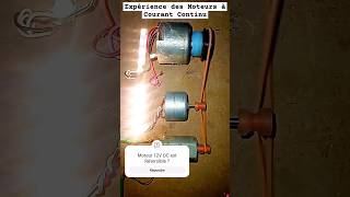 Expérience des Moteurs à Courant Continu Le Moteur 12v DC est til Réversible  dcgenerator [upl. by Brigitta]