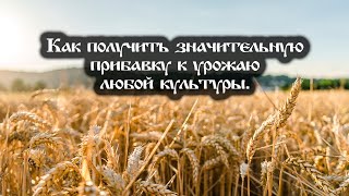 Как получить значительную прибавку к урожаю любой культуры [upl. by Aiclef161]