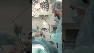 Remove only the kidney tumor Robotic assisted partial nephrectomy drkramesh roboticsurgeon [upl. by Donovan656]