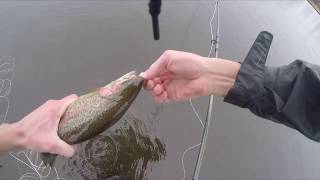 Early Season trout fishing in the Lake District [upl. by Refotsirc]