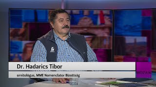 Mozaik  közéleti magazin  vendég dr Hadarics Tibor  20241105 – SopronTV [upl. by Suilmann]