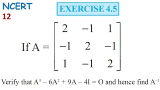 DETERMINANTS Exercise 45 Q16  Chapter 4 Class 12  NCERT Maths  IIT JEE [upl. by Ulrich]