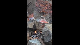 Wild Camping Survival Hacks to Thrive Off the Grid ⛺️🌲🔥 [upl. by Notlim]