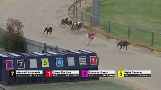 Gawler24122023Race9 [upl. by Ylrehs]