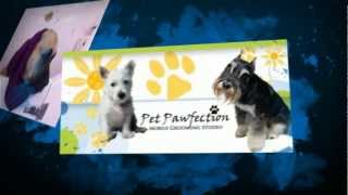 Dog Washing Perth  Pet Pawfection Mobile Grooming Studio [upl. by Wunder]