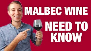 MALBEC RED WINE For Beginners [upl. by Nrobyalc15]