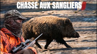 Chasse aux sangliers en Sologne part 2 [upl. by Akineg]