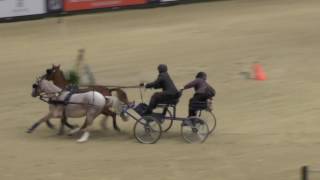 HOYS Scurry Driving 2016 [upl. by Namzaj]