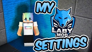 My LabyMod Settings  New Skin [upl. by Aicel282]