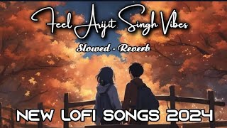 Feel Arijit Singh Vibes। slowed Reverb । lofi song।new lofi songs 2024।non stop lofi songs lofi [upl. by Fredenburg]