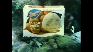 Breyers Ice Cream Commercial 1978 [upl. by Antonetta853]