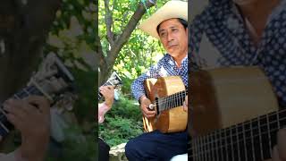 Linda Morenita  Ranchera con Guitarra y Requinto  shorts [upl. by Nelon]