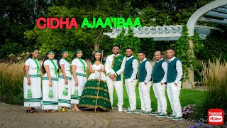 cidha oromoo faarfannaa wajjin Oromo Ethiopian amazing wedding 2024 [upl. by Tikna]