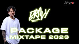 Bravy PACKAGE Mixtape 2023 [upl. by Candace]