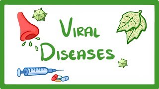 GCSE Biology  What Is a Virus  Examples of Viral Disease HIV Measles amp TMV 36 [upl. by Vijnas]