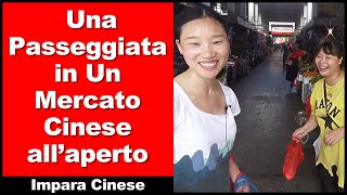 Una Passeggiata in Un Mercato Cinese all’aperto  pratica di ascolto cinese  Impara Cinese  HSK 2 [upl. by Auqemahs895]