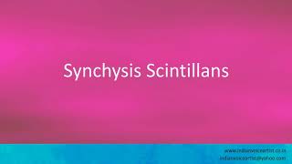 Pronunciation of the words quotSynchysis Scintillansquot [upl. by Leslee]