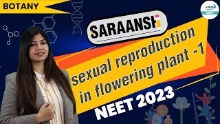 Sexual Reproduction in Flowering Plant1  One Shot  NEETBotany  NCERT  Infinity Learn NEET [upl. by Alecia2]