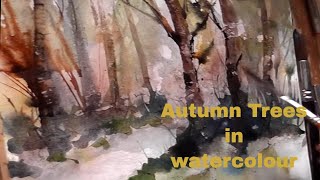 WATERCOLOUR autumn trees REAL TIME PAINTING [upl. by Euqinu]