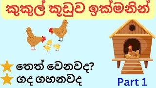 කුකුල් කූඩුව ඉක්මනින් තෙත් වෙනවද ගද ගහනවද🤔🤔 [upl. by Mccully481]