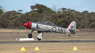 Sea Fury FB Mk11 VHHPB Display Mildura Airshow 2024 [upl. by Rhiana315]