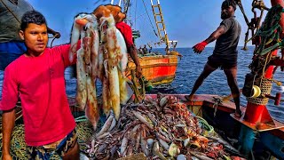 Amazing🤩 we caught lot of squid amp Mackerel fishes in Deep sea  Day 3 [upl. by Lin]