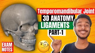 Temporomandibular Joint Anatomy 3D  anatomy of temporomandibular joint ligaments [upl. by Nimar432]