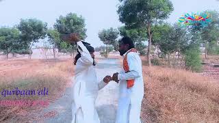 malangi Marathi chor Babar Sony ko New comedy funny video Murali Thakur dibri 2024 kurbaan Munda [upl. by Ange]