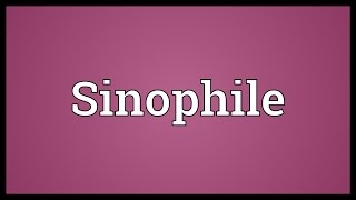 Sinophile Meaning [upl. by Suoicerpal]