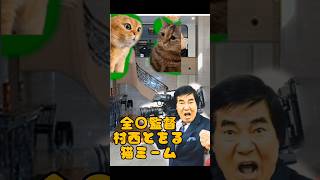 【猫ミーム】全○監督村西とおる伝説 [upl. by Yttiy]