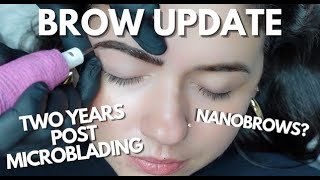 Microblading vs Tattoo Brows  Nano Brows  YEAR 2 BROW UPDATE [upl. by Ehud]