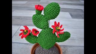 CACTUS GRANDE DE GANCHILLO  CON FLORES [upl. by Yrem]