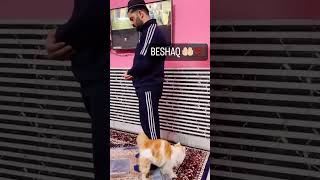 Beshaq☝️ trending viral latest shortsyoutube smartboy cutepaws furrball cutiepatootie ♥️♥️ [upl. by Epperson]