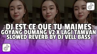 DJ EST CE QUE TU MAIMES X GOYANG DUMANG V2 X LAGI TAMVAN  SLOWED REVERB BY DJ VELL BASS [upl. by Lal]