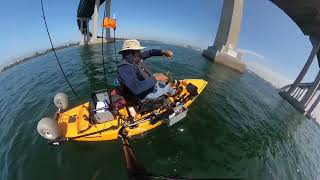 San Diego Bay Coronado Fishing July 20 2024 [upl. by Inattyrb]