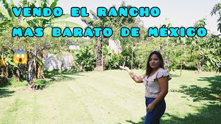 VENTA DE PRECIOSO RANCHO A PRECIO DE CASA 😱🤑 [upl. by Dagall255]