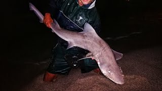 EP 26  fishing Spreeuwalle Langebaan at night  Targeting smooth hound sharks [upl. by Nyrraf]