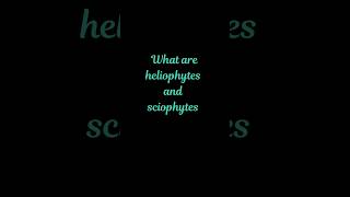 What are heliophytes and sciophytes biology botany bscbotany [upl. by Hgalehs]