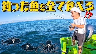 【リベンジ】quot1日で釣った魚quotを全て食べきれ！！で鯛を釣りたい！！！ [upl. by Chak464]