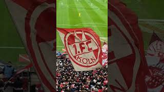 ðŸ”´âšªï¸ ultras bundesliga effzeh fussball [upl. by Dorette]