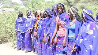 Qafar Seyoo Eide afar Beautiful cultural dance 2024 ethiopian culturaldance [upl. by Limbert891]