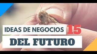 15 ideas de negocios del futuro rentables e innovadores [upl. by Avlis]