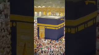 mokka modinarazan beautiful kabalive kaaba live shorts viralvideo shortvideo [upl. by Ahsinyd832]