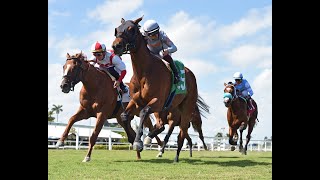 Gulfstream Park Resumen  20 de Marzo 2024 [upl. by Ynohta]