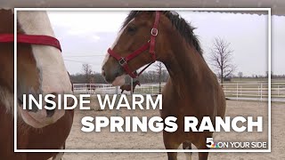 Inside the home of the Budweiser Clydesdale [upl. by Zilla]