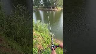 Best fishing rod for fishing viralvideo youtubeshorts [upl. by Aikym]