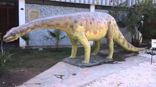 Riojasaurus Incertus San Juan Argentina [upl. by Hobie]