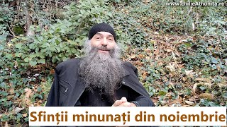 Sfinții minunați din noiembrie  p Pimen Vlad [upl. by Ivor]