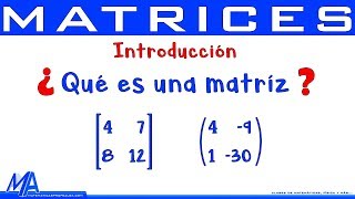 Matrices Introducción  Conceptos básicos [upl. by Stutman]